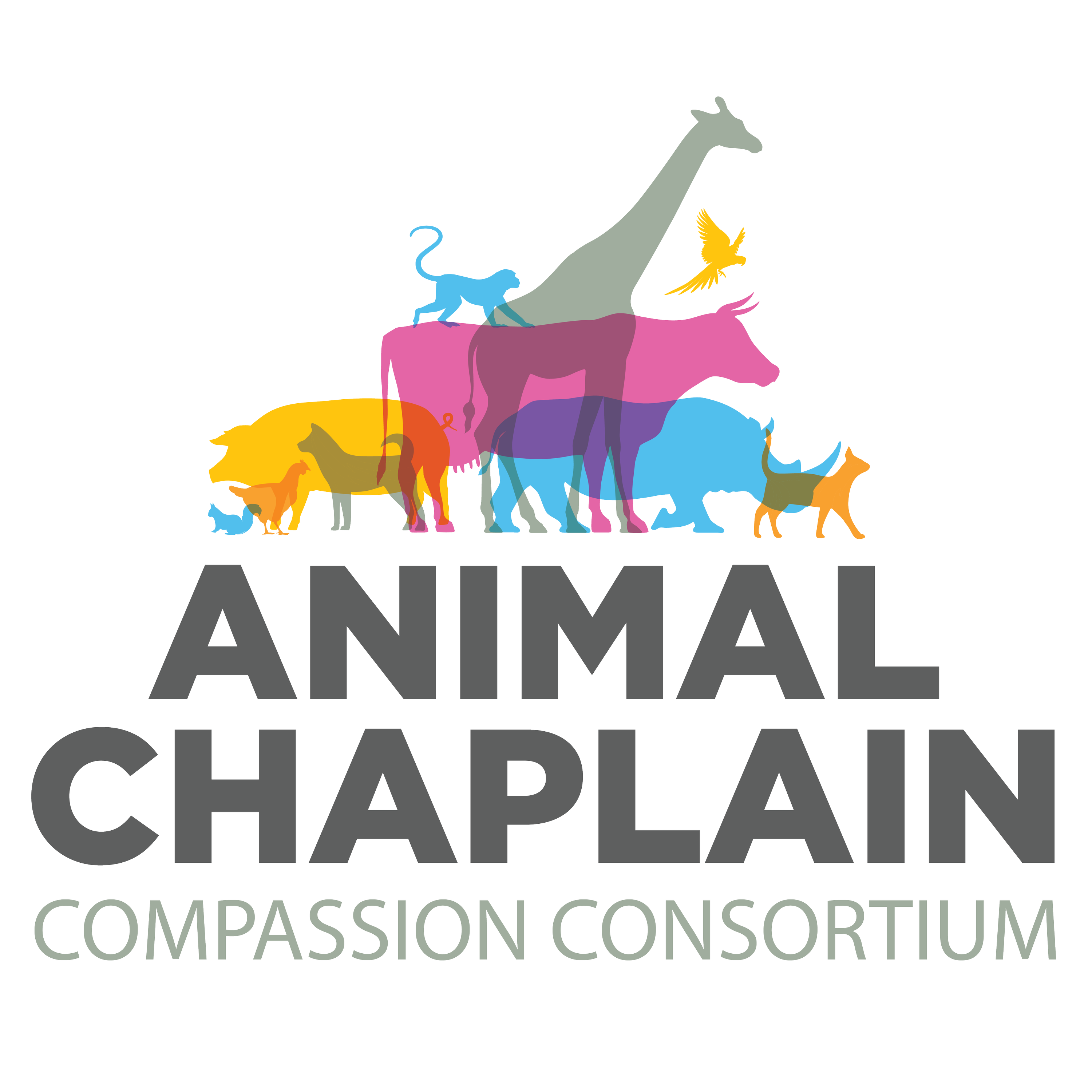 compassion consortium